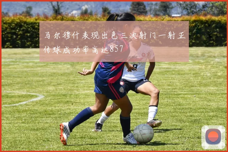 马尔穆什表现出色三次射门一射正传球成功率高达857