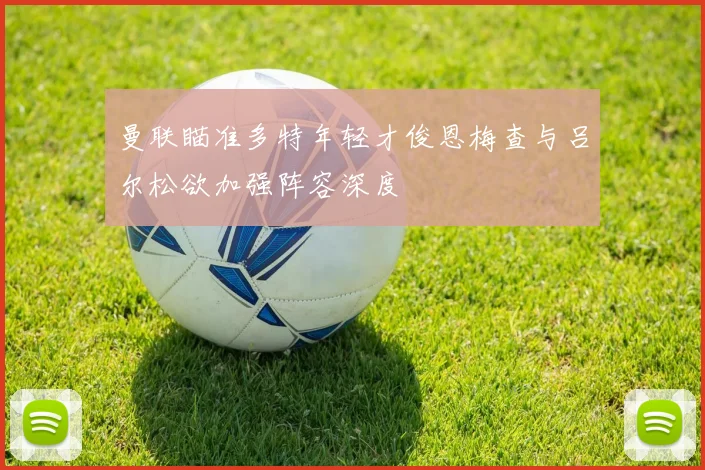 曼联瞄准多特年轻才俊恩梅查与吕尔松欲加强阵容深度